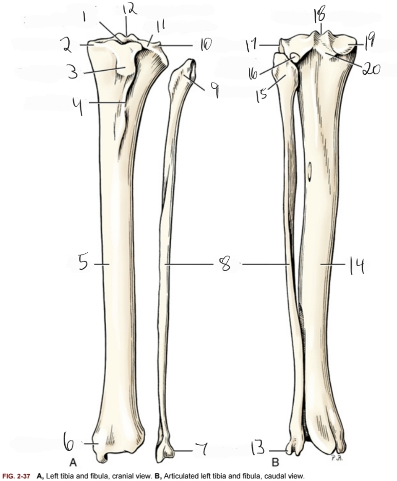 <p>10 and 17</p>