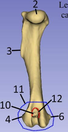 <p>What is 12?</p>