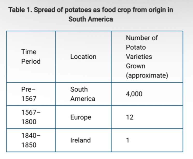 <p><span><span>Potatoes as a food crop originated in South America.</span></span></p><p><span><span>There are over 4,000 variations of potato grown there.</span></span></p><p><span><span>Potatoes were brought to Europe by Spanish colonists in the late 1500s. One variety became the chief crop grown in much of Ireland by the early 1800s. Table 1 summarizes the spread of potatoes as a food crop.</span></span></p><p><span><span>The Irish Lumper variety of potato was introduced into Ireland in the early 1800s. The Lumper soon became the only variety of potato grown in much of Ireland. The potato blight destroyed most of the Lumper crop between 1845 and 1852 resulting in the death of about 1 million Irish from starvation.</span></span></p><p><span><span>A researcher suggests that the Irish monoculture (growing a single crop) of the Lumper potato did not significantly change the overall resistance of the potato crop in Ireland to diseases. Which of the following observations best refutes this null hypothesis?</span></span></p>