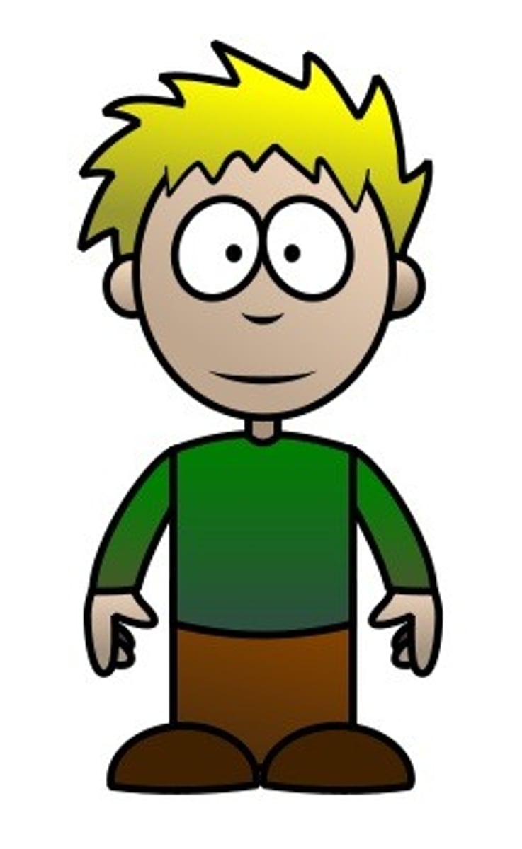 <p>the boy</p>