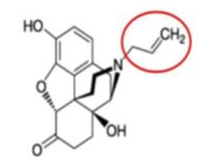 <p>[OPIOIDS]</p><p>a. Naloxone</p><p>b. Naltrexone</p><p>c. Methylnaltrexone</p><p>d. Oxycodone</p><p>e. Oxymorphone</p>
