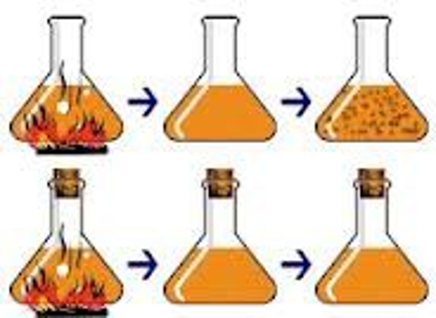 <p>He refuted the concept of spontaneous generation. He sealed his flasks of broth to prove that microbes came from the air, not the broth.</p>