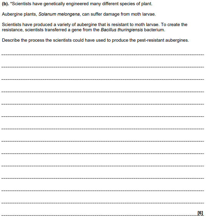 <p><span style="line-height: 1.15;"><strong>The Trap:</strong> Many students describe "putting DNA in a plant" but fail to mention the specific enzymes or the method of cell delivery</span><span>.</span></p><p><span style="line-height: 1.15;"><strong>Marking Criteria:</strong> You need to cover three distinct stages: <strong>Isolation</strong>, <strong>Insertion into Vector</strong>, and <strong>Transformation/Cloning</strong></span><span>.</span></p><p></p><p></p>