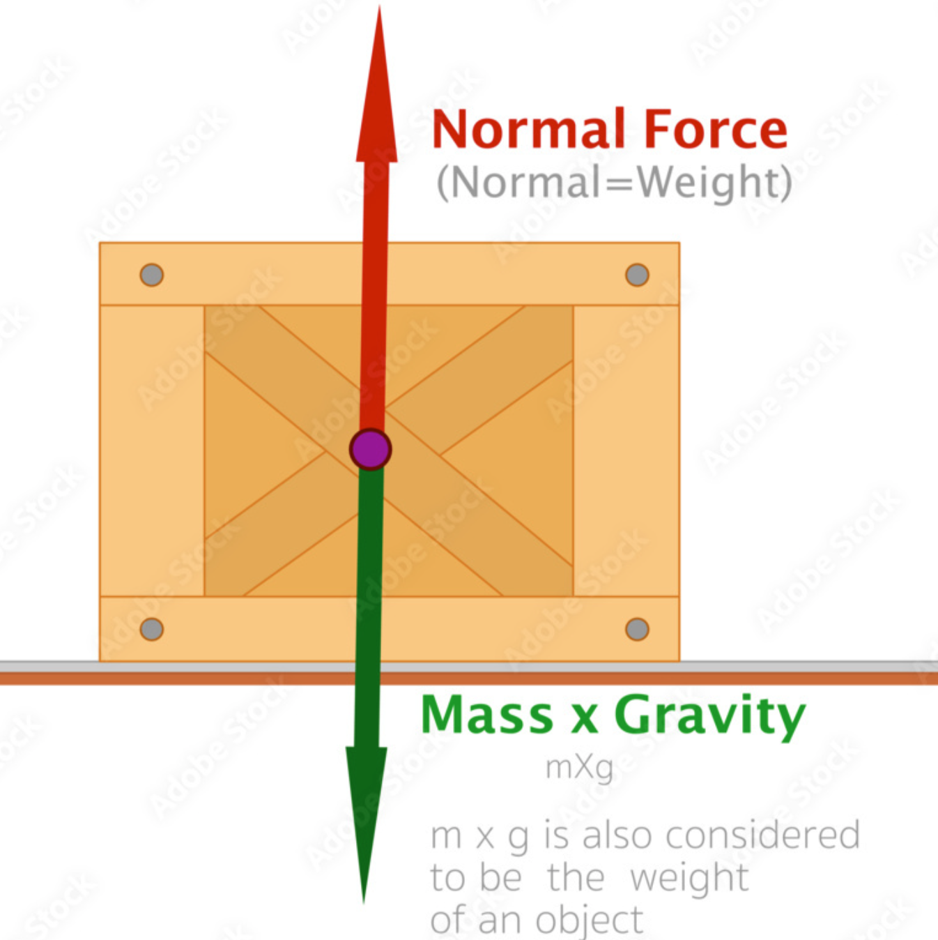 <p>The downwards force that is always present.</p>