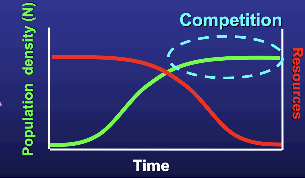 <ol><li><p>resources must be limiting</p></li><li><p>densities of organisms are high</p></li><li><p>environment is stable</p></li></ol><p></p>