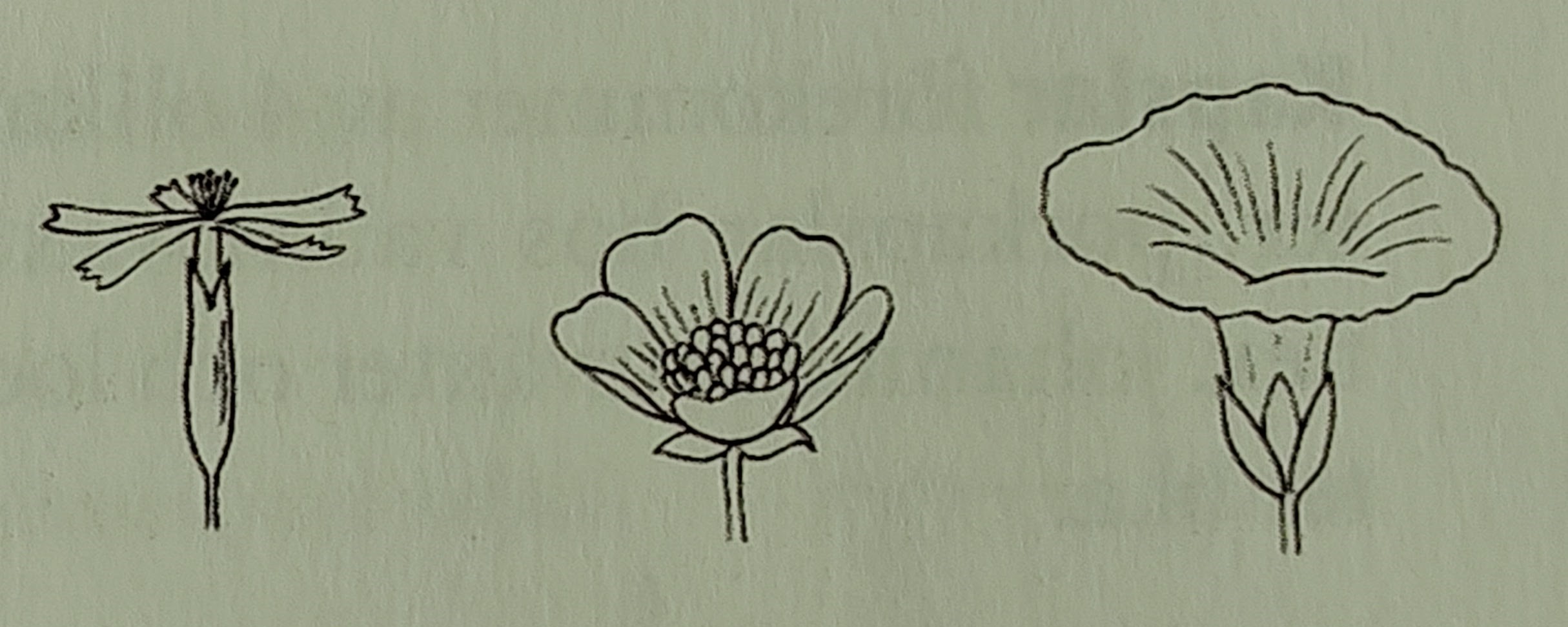<p></p>