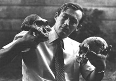 <p>A scientist who studies human development and culture</p>