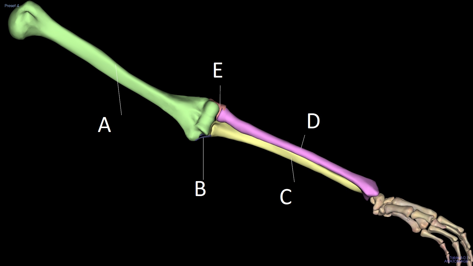 <p>E</p>