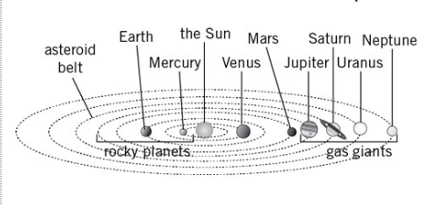<ul><li><p>the clumps are not hot enough to become protostars </p></li><li><p>but go on to form planets or if smaller asteroids orbiting the star</p></li><li><p>our sun has 4 inner rocky planets and four outer gas giants orbiting it </p></li><li><p>with an asteroid belt between mars and jupiter</p></li></ul><p></p>