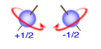 <p>Describes the spin of an electron, either clockwise or counterclockwise</p>