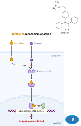 <p>What is an estrogen antagonist that competes with estrogen for binding to ER</p><p></p>