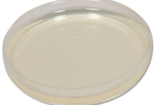 <p>13. What type of medium is this?</p>