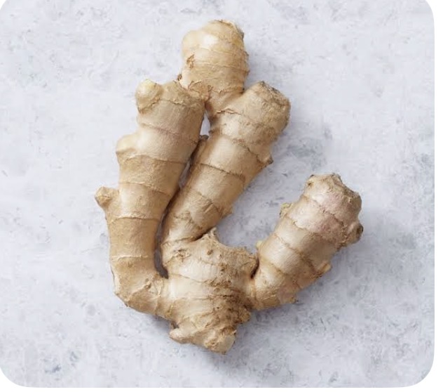 <p>Ginger</p>