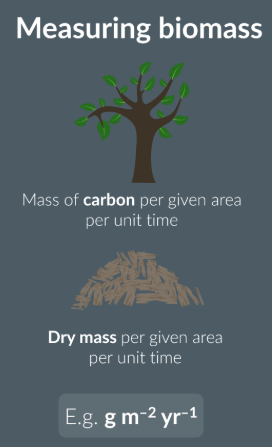 <p>Mass of carbon / dry mass of tissue per given area</p>