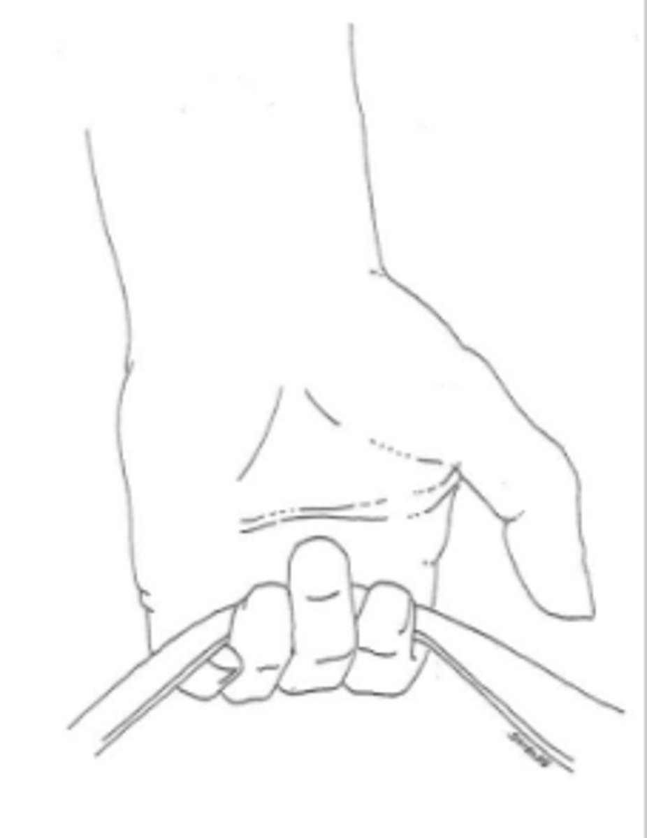 <p>Thumb NOT included</p><p>-looks like intrinsic minus position</p>