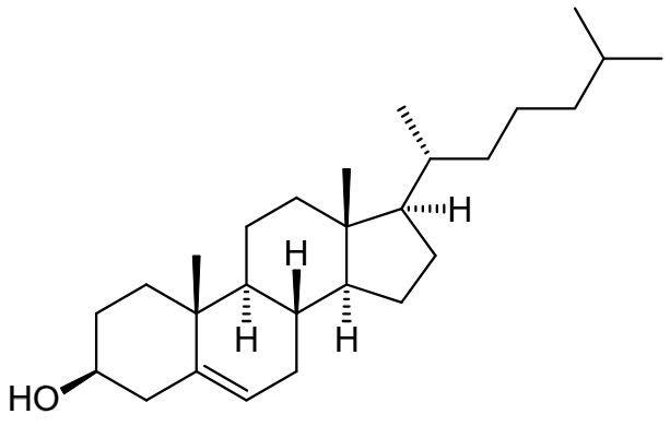 <p>name the structure</p>