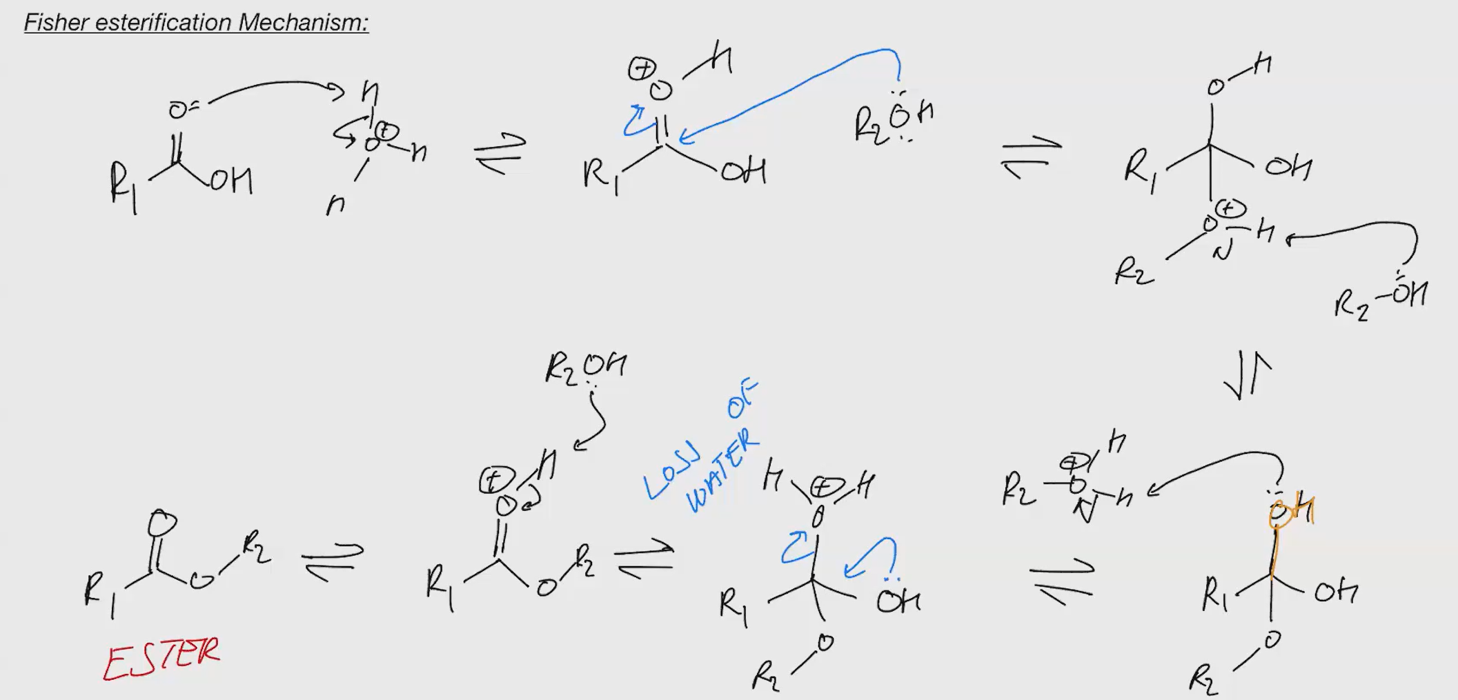 <p>Remember under acidic condition u cant kick out bases. that why we protonate</p>