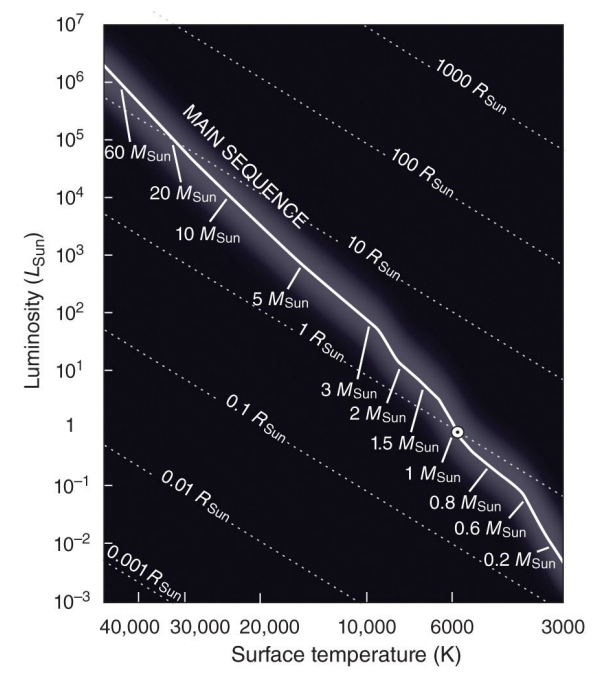 <p>The longest, most stable phase in a star's life<span>, where it <strong>fuses</strong> <strong>hydrogen into helium</strong> in its core</span></p><p></p><p>A star’s mass is what determines its position on the main sequence:</p><ul><li><p><strong>Less</strong> massive stars lie in the <strong>lower right</strong>.</p></li><li><p><strong>More</strong> massive stars lie in the <strong>upper left.</strong></p></li></ul><p></p>