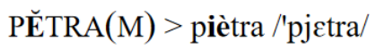 term image