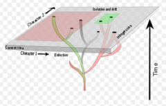 <p>Systematics</p>