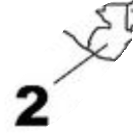 <p>Guatemala (2)</p>