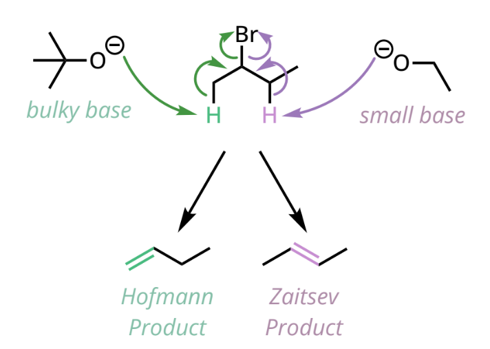 <ul><li><p>Zaitsev = thermodynamic product (more stable)</p><ul><li><p>more substituted alkene, greater stability</p></li><li><p>favored by small bases: EtO<sup>-</sup>, MeO<sup>-</sup></p></li></ul></li><li><p>Hofmann = kinetic product (forms faster with bulky base)</p><ul><li><p>less substituted alkene, decreased steric hindrance</p></li><li><p>favored by bulky bases: tBuO<sup>-</sup></p></li></ul></li></ul><p></p>