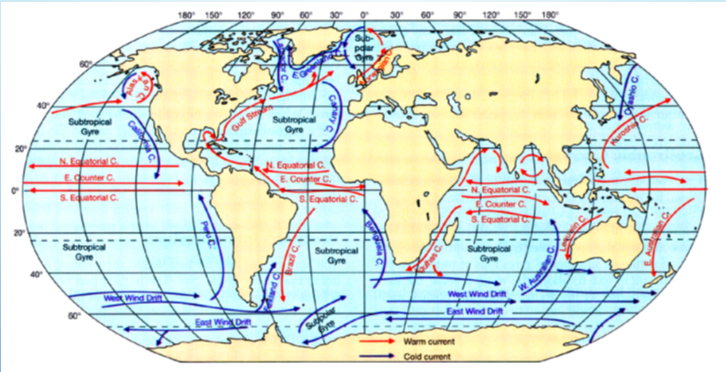 <ul><li><p>- Follow wind patterns </p></li><li><p>- Determined by long-term wind patterns </p></li></ul><p></p>