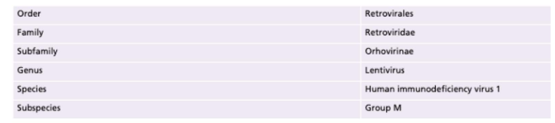 <p>Virus classification - Taxonomic categories</p>