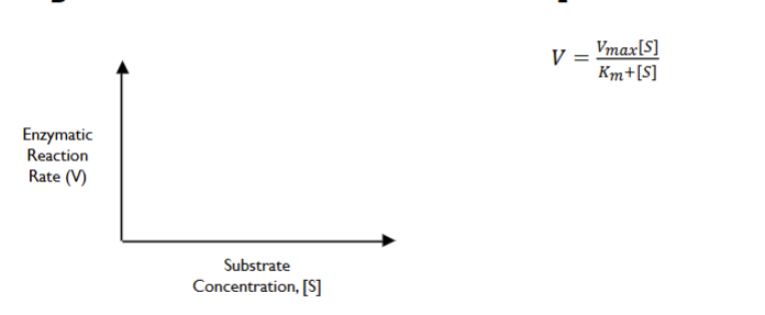 <p>Understand the terms in the Michaelis-Menten Equation<br>v = (Vmax [S]) / (Km + [S])</p>
