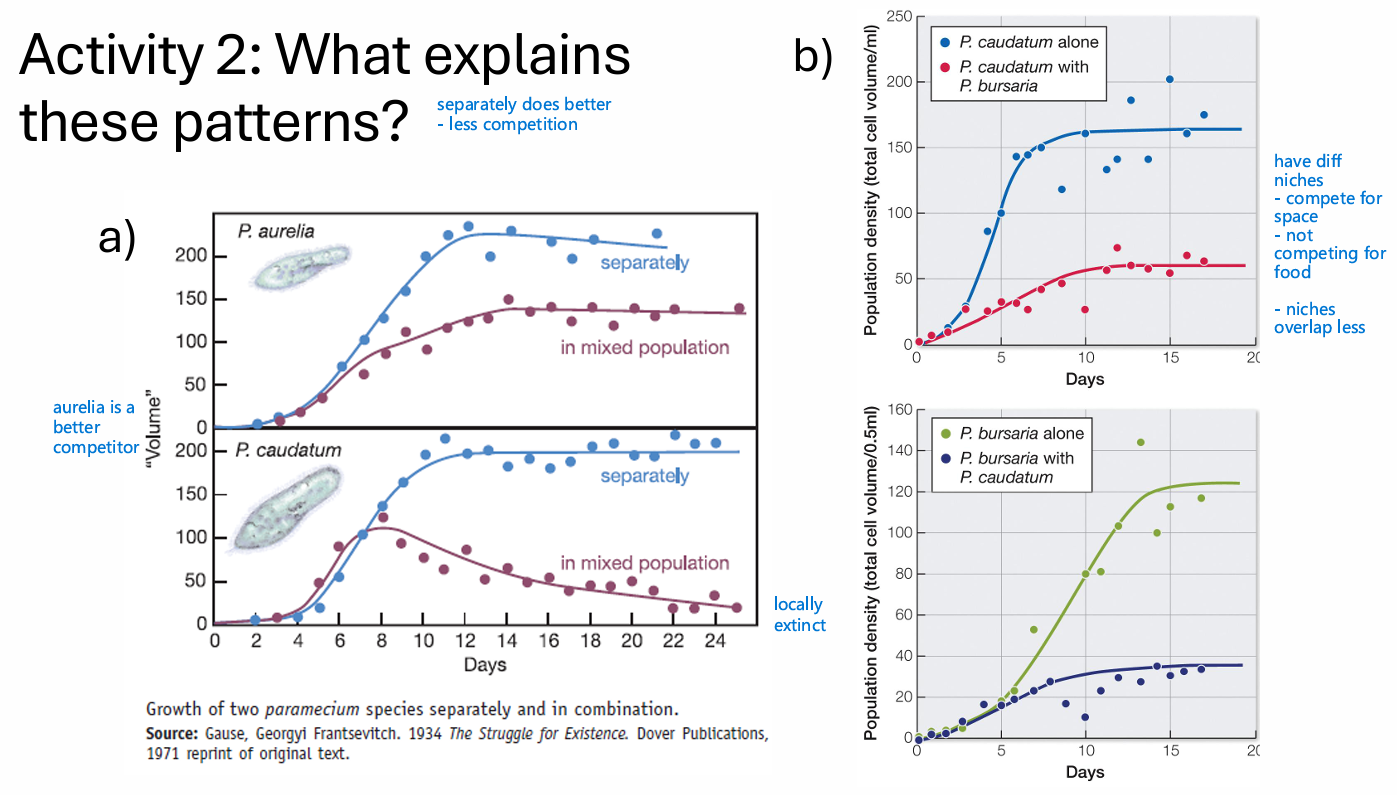 <p>Paramecium is a genus of ciliates</p><ul><li><p>Ciliates are unicellular protists</p></li><li><p>used:</p><ul><li><p>P. aurelia</p></li><li><p>P. caudatum</p></li><li><p>P. bursaria → algae live inside</p></li></ul></li><li><p>cultured Paramecium in test tubes with food items</p><ul><li><p>limited space & nutrients </p></li></ul></li></ul><p></p>