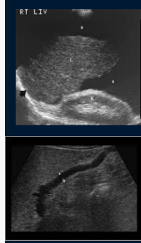 <p>Explain these images</p>