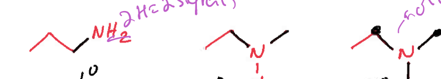 <p>first label each kind of prime that the amine is and then tell how many signals each would get </p>