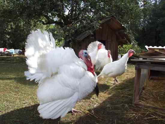 <p>identify</p>