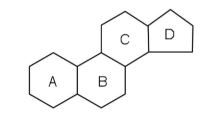 <ul><li><p>non-polar/hydrophobic, can pass through phospholipid bilayer</p></li><li><p>are a different group of lipids </p></li><li><p>all have similar 4 ring structure</p></li><li><p>e.g. oestradiol, testosterone</p></li></ul><p></p>