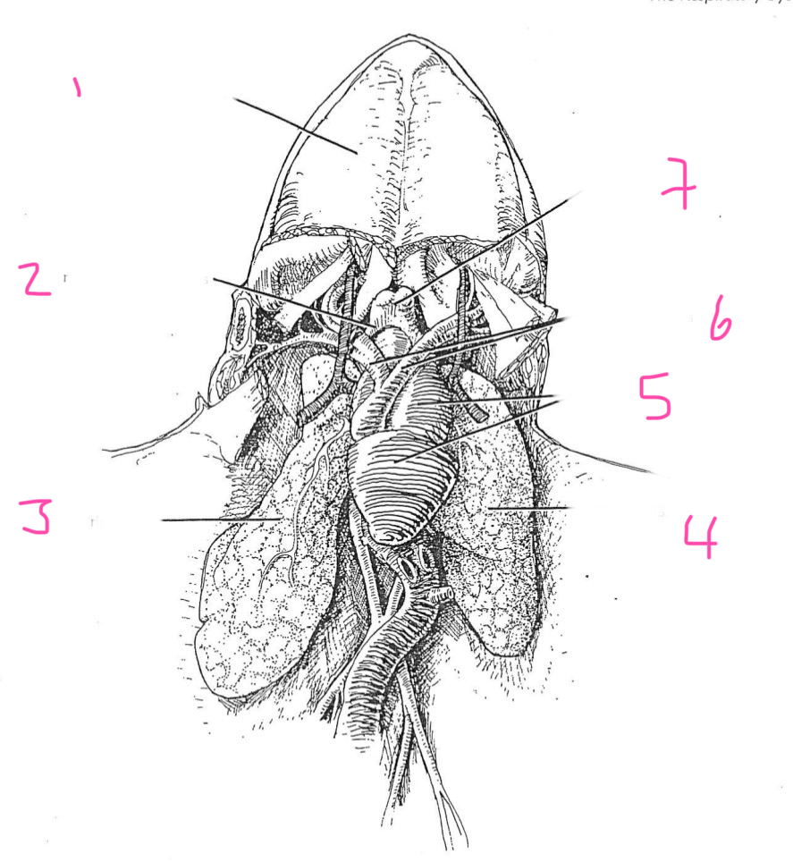 <p>1</p>