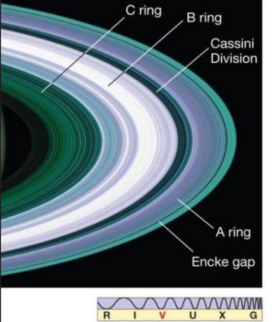 <ul><li><p>A, B, C</p></li><li><p>Cassini division (rings composed of rings between A&B)</p></li><li><p>largest and most visible</p></li><li><p>ordered by discovery</p></li><li><p><em>B is the brightest</em></p></li><li><p>CBA is actual order in closeness</p></li></ul><p></p>