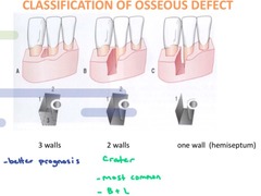 <p>Direct visualization.</p><p>(Explanation: Probing and radiographs can suggest defects, but only surgical exposure allows precise assessment of defect shape, size, and wall number, guiding treatment planning.)</p>