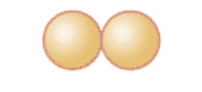 <p>diplococcus</p>