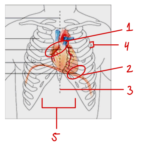 <p>5</p>
