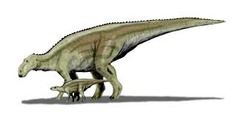 <p>good mother lizard which nourished their young</p>
