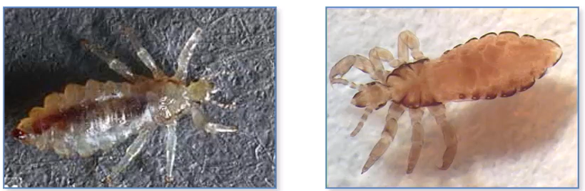 <p>What is this?</p>