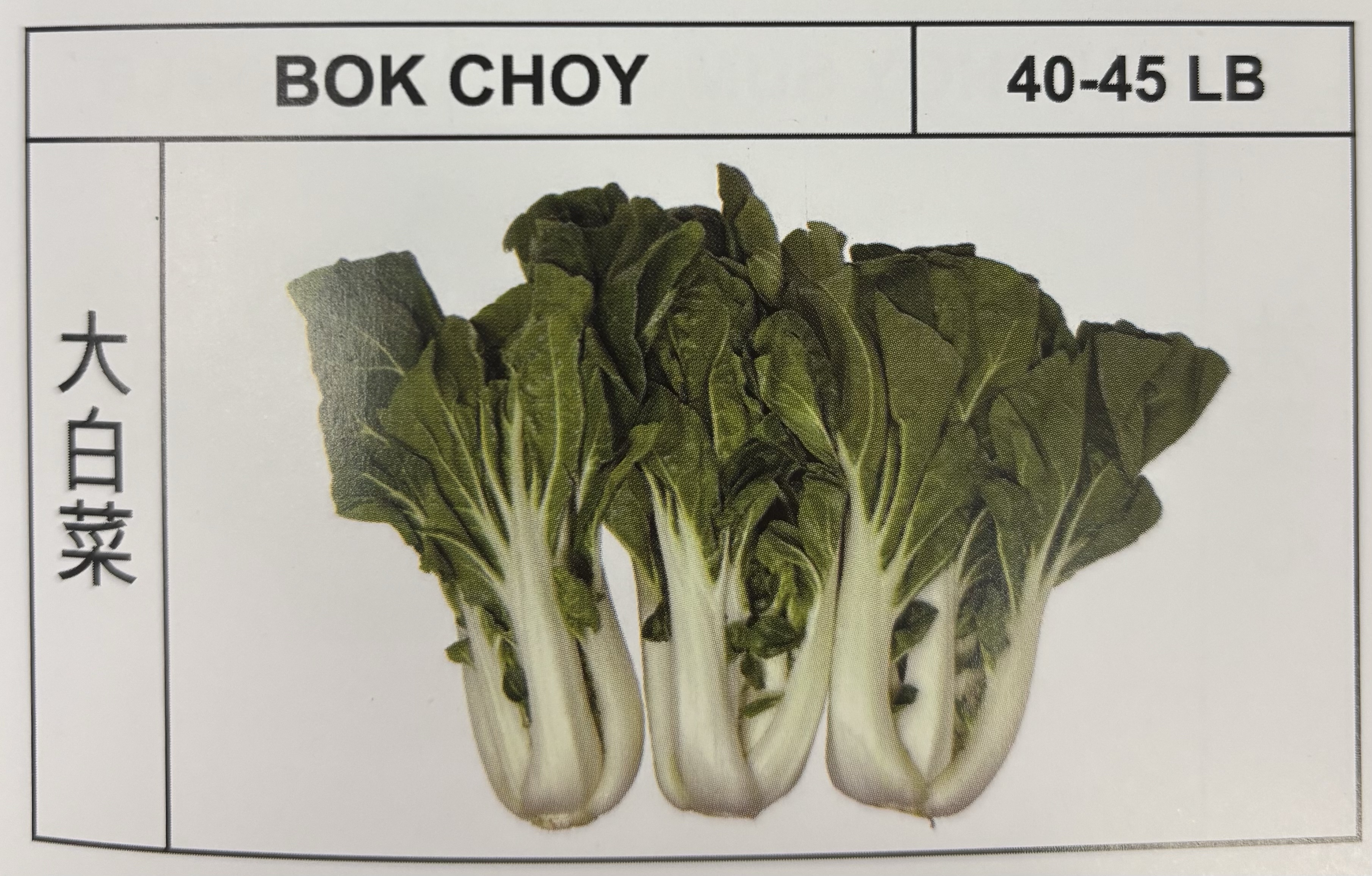 <p>BOK CHOY</p>