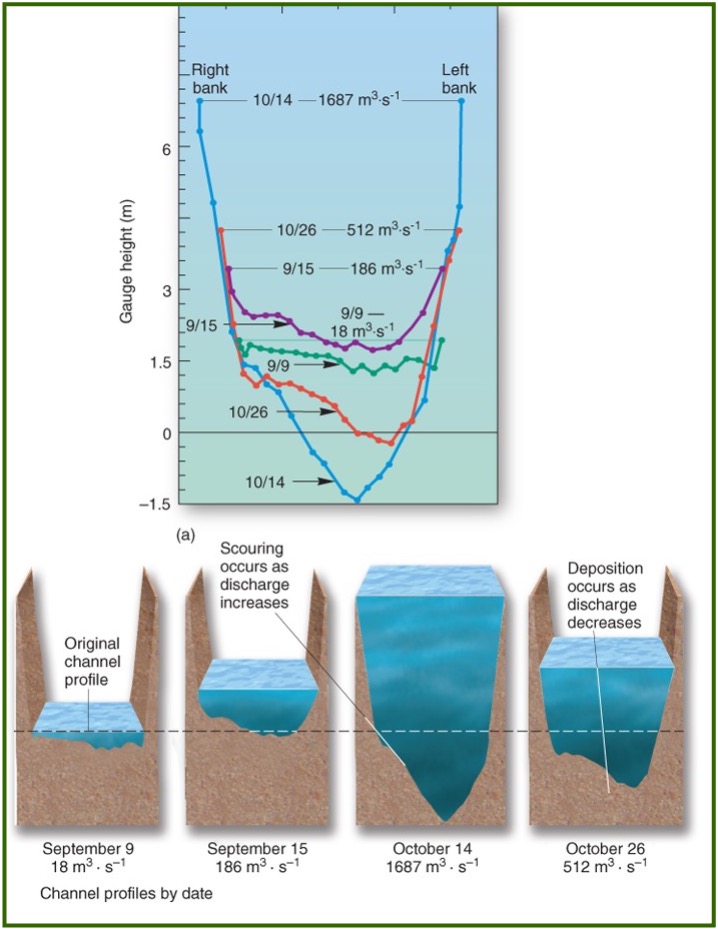 <p>Discharge rates increase during a flood because much more water enters the river system in a short period of time. </p><p>This then increases the ability of the river to scour rock and sediment from its bed and its sides.</p>