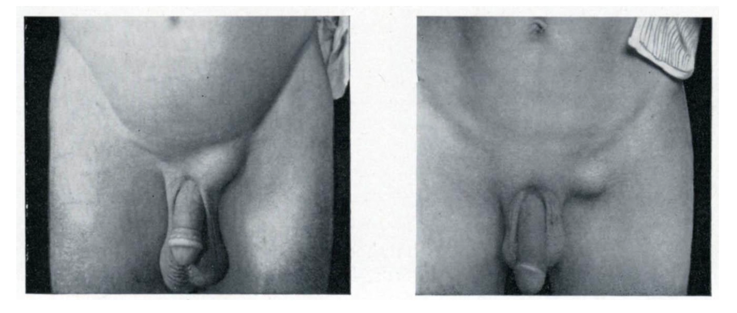 <img src="https://assets.knowt.com/user-attachments/6e922557-17b0-437f-b93d-21a74d4c03aa.png" data-width="100%" data-align="center"><p></p>