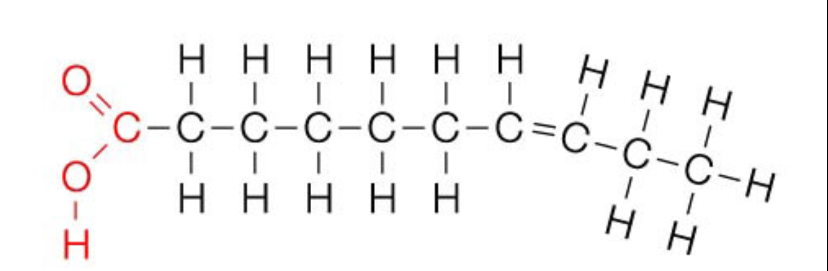 <ul><li><p>Have at least one carbon to carbon double bond</p></li><li><p>Healthier (except trans fat)</p></li><li><p>Generally liquid at room temp</p></li><li><p>Found in oils that originate from plants</p></li><li><p>Fewer hydrogens due to carbon atoms in their chains </p></li><li><p>Monounsaturated - One carbon to carbon double bonds in each fatty acid chain while polyunsaturated have many  </p></li><li><p>Double bond causes a kink in the hydrocarbon chain </p></li><li><p>Prevent unsaturated hydrocarbon chains packing closely together </p><ul><li><p>Triglycerides containing a high proportion of unsaturated fatty acids have low melting temperatures </p></li></ul></li></ul><p></p>