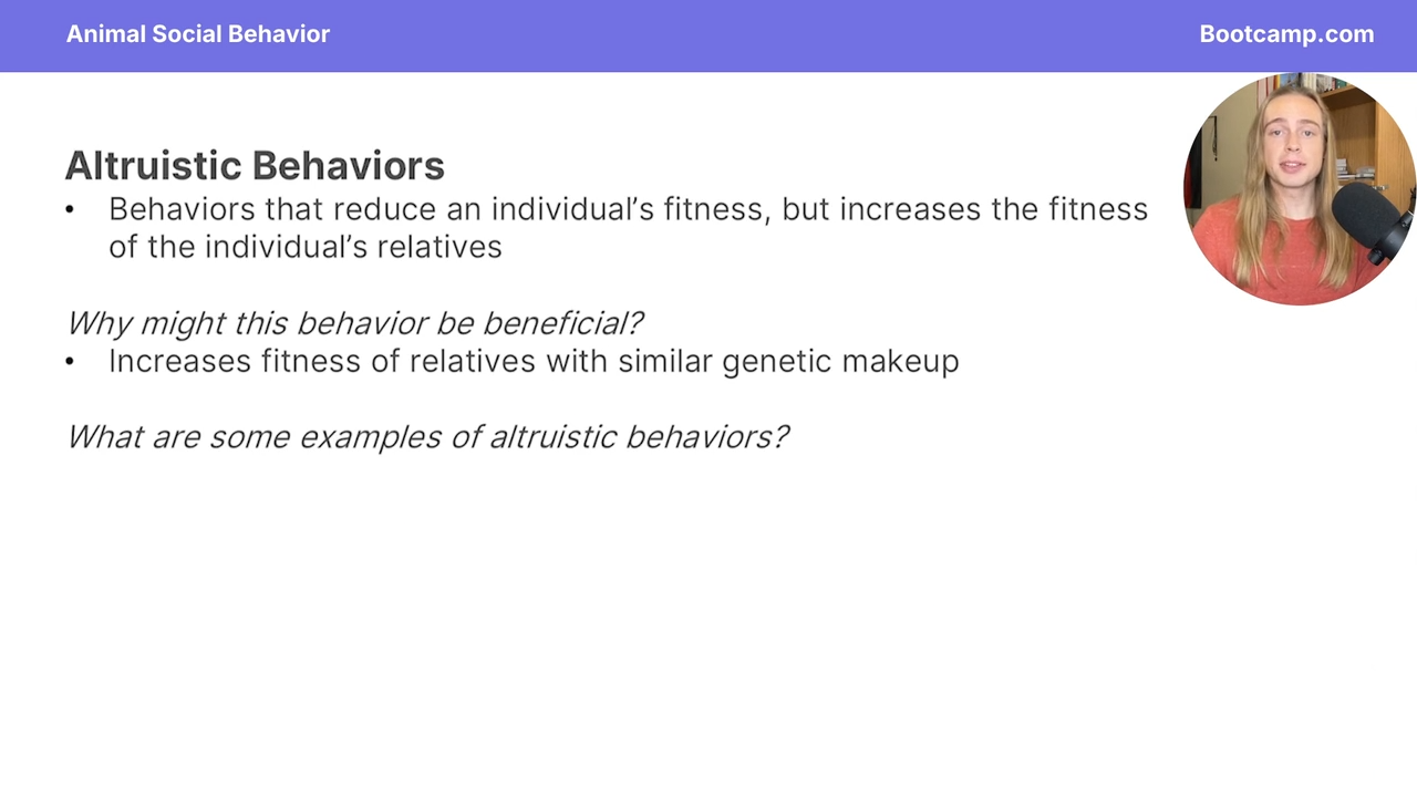 <p>they increase fitness of relative with similar genetic makeup</p>