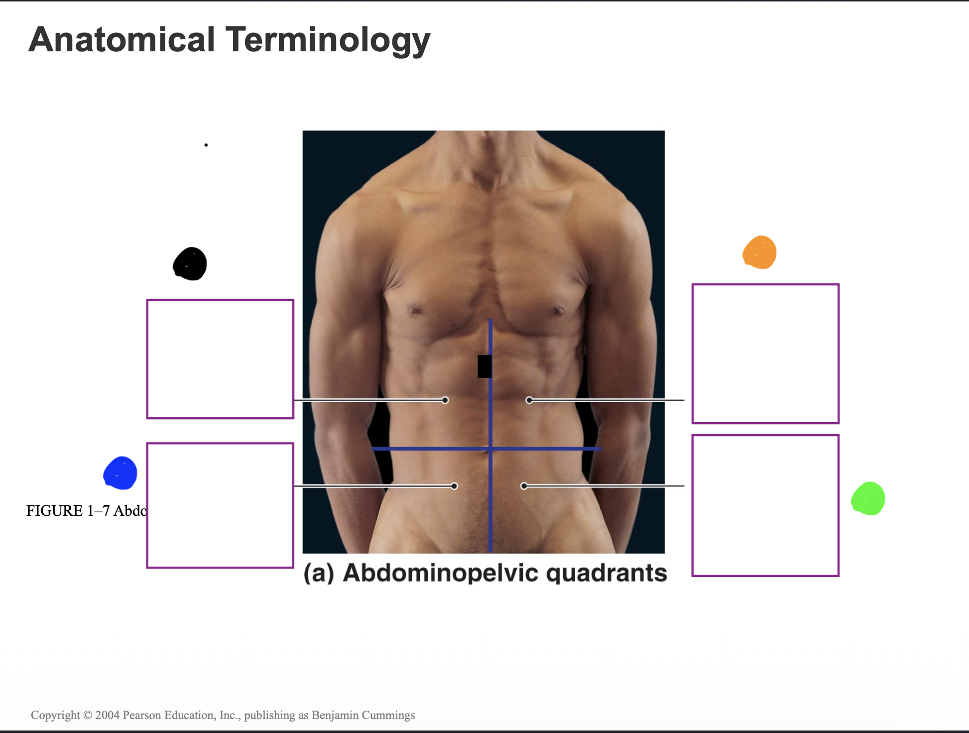 <p>What does the green dot represent?</p>