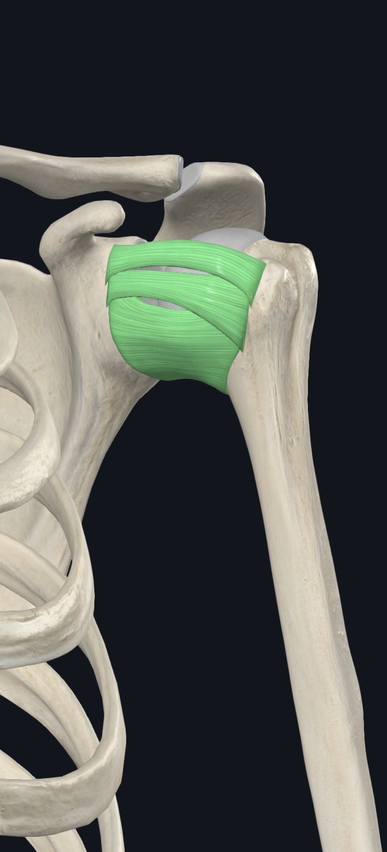 <p>what is this?</p>