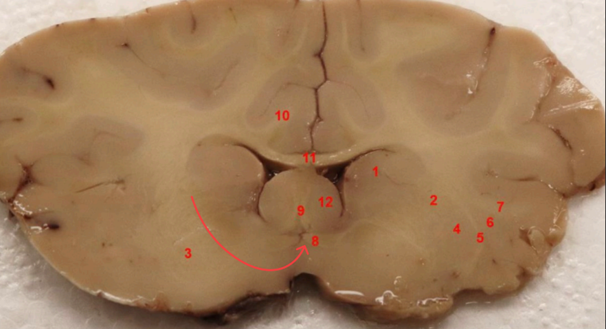 <p>what is this </p>