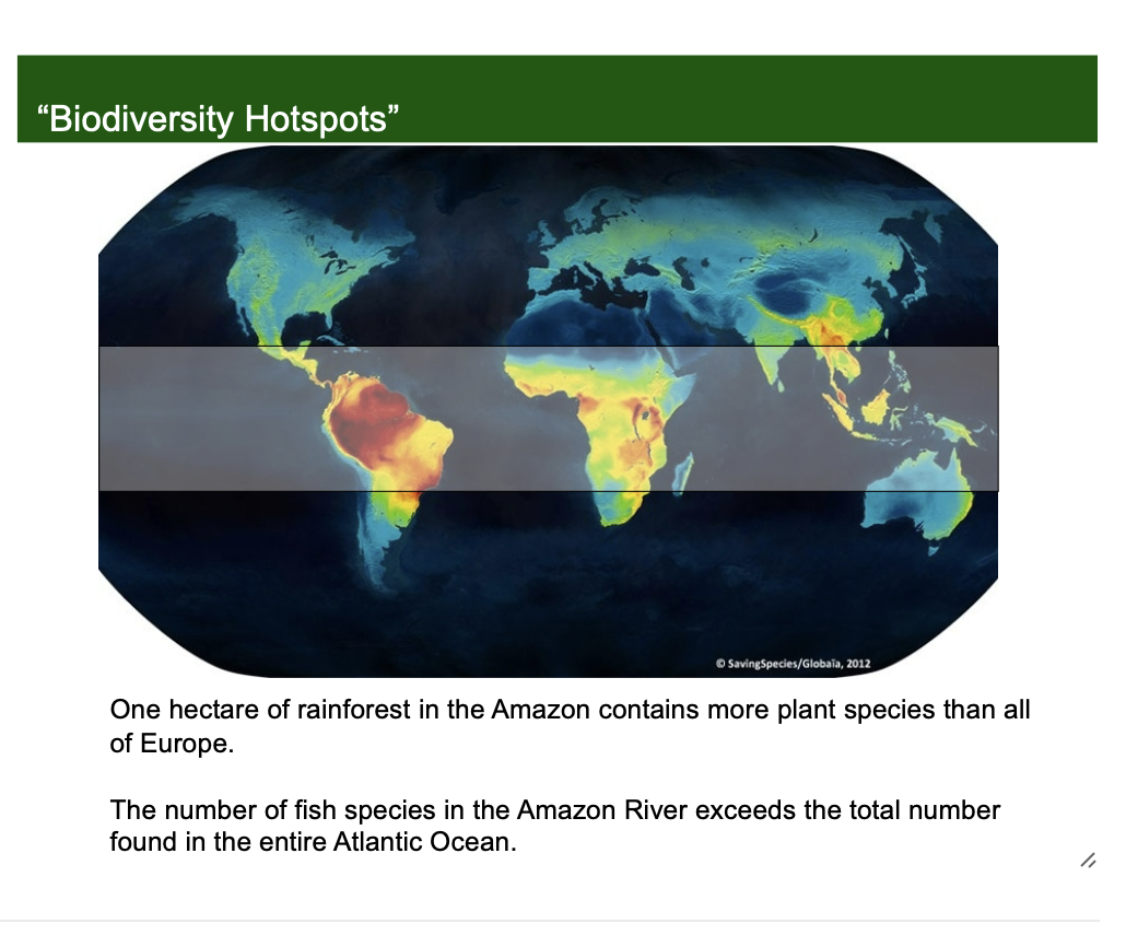 <p>Introduces areas with exceptionally high species richness and endemism. </p><p>One hectare of rainforest in the Amazon contains more plant species than all of Europe.</p><p>The number of fish species in the Amazon River exceeds the total number found in the entire Atlantic Ocean.</p>